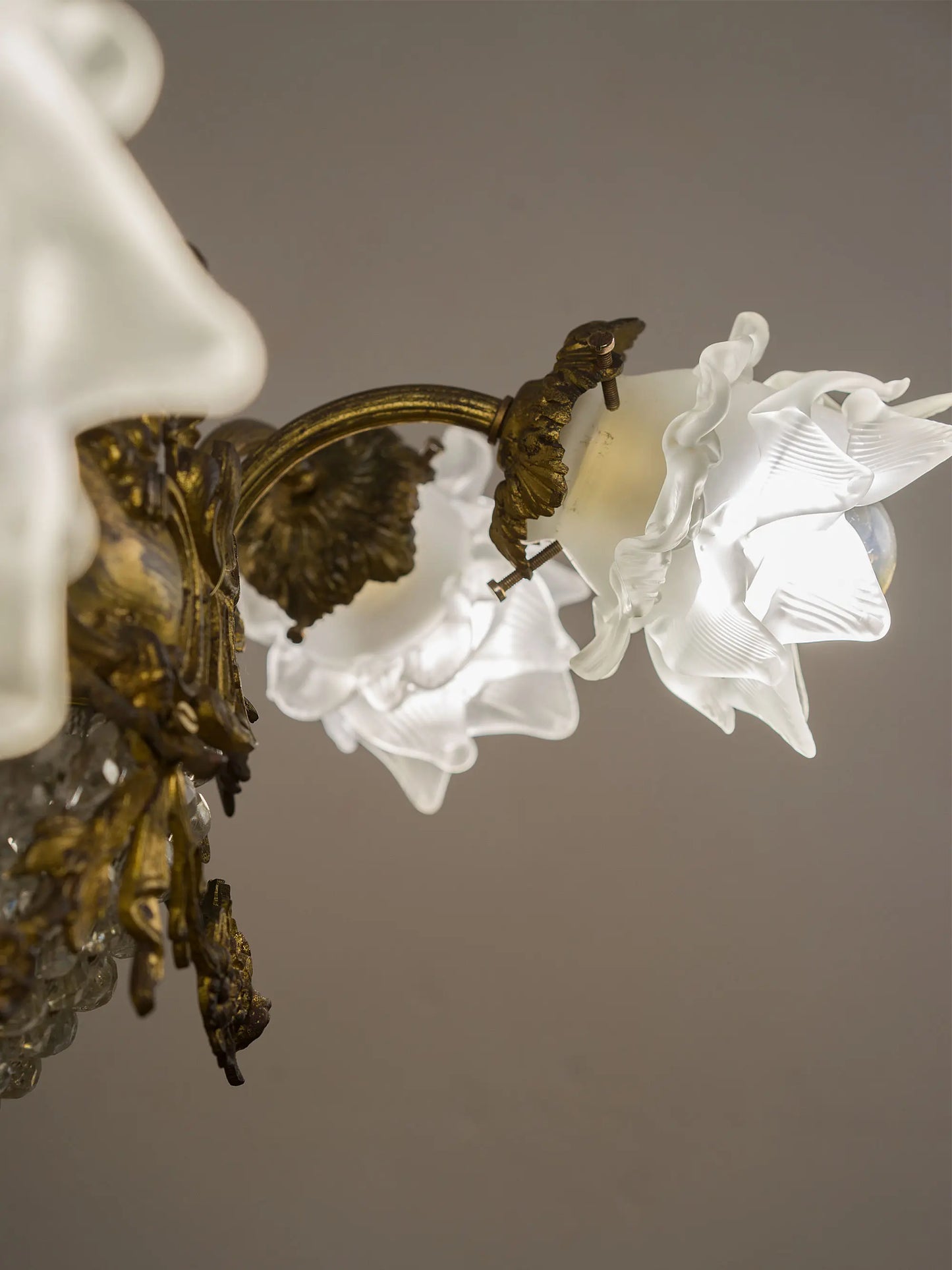Paralume floreale in vetro satinato illuminato su lampadario Belle Époque | Lo Stile Italiano 