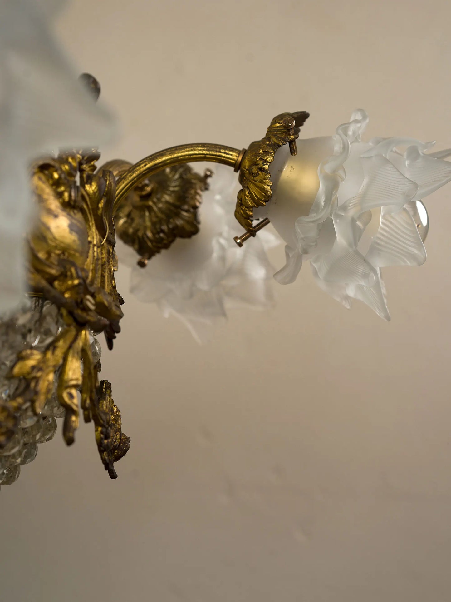 Dettaglio di paralume a fiore in vetro satinato e braccio in bronzo dorato | Lo Stile Italiano 